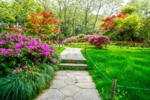 Jak stworzyć ekologiczny ogród – zastosowanie roślin i materiałów przyjaznych środowisku